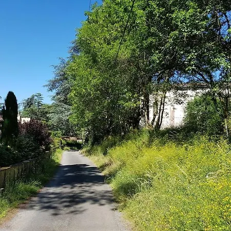 Grande Avec Piscine * Castres (Tarn)