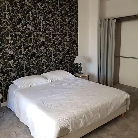 Grande Avec Piscine Villa Castres (Tarn)