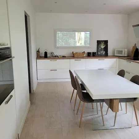 Villa Grande Avec Piscine Castres (Tarn)